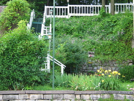IMG 7271