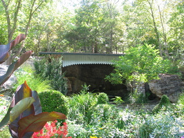 IMG 7446