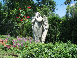 IMG 7453