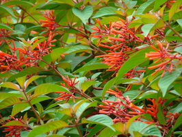 DSC00016
