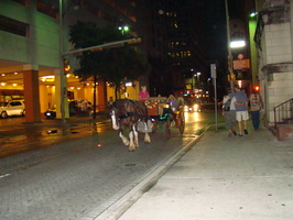 DSC00095