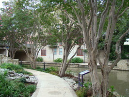 DSC00148