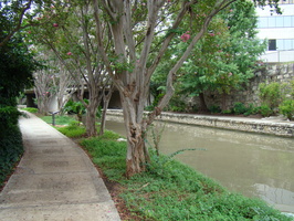 DSC00152