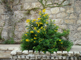 DSC00158