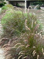 DSC00159