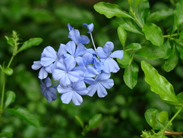 DSC00166