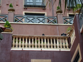DSC00188