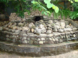 DSC00195