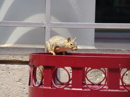 DSC00206
