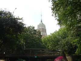 DSC00239