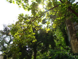 DSC00255
