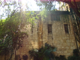 DSC00260