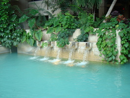 DSC00266