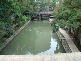 DSC00350