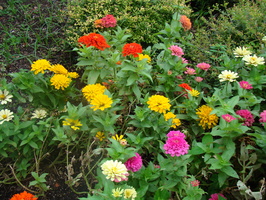 DSC00364