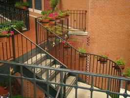 DSC00379