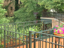 DSC00381