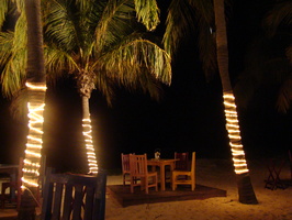 DSC00490