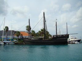 DSC00493
