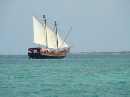DSC00506