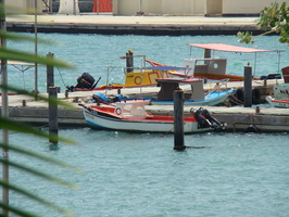 DSC00575