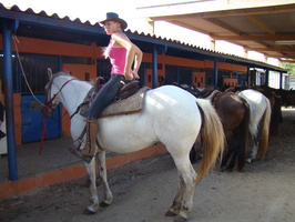 DSC00600