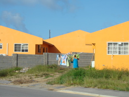 DSC00618