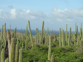 DSC00627