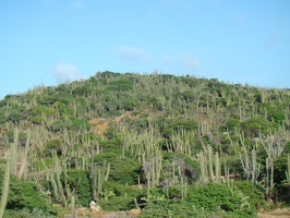 DSC00634
