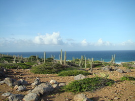 DSC00641