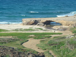 DSC00647
