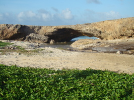 DSC00648