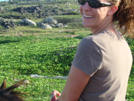 DSC00653