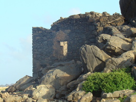 DSC00663