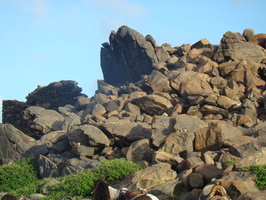 DSC00666