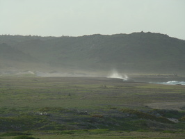 DSC00676
