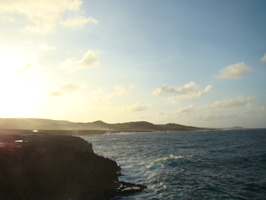 DSC00695