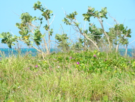 DSC00757