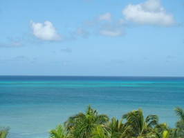 DSC00847