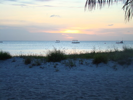 DSC00876