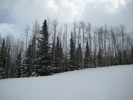 Ski 2008 Park City 086