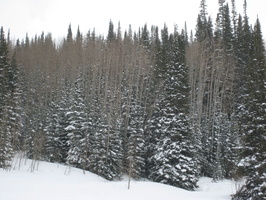 Ski 2008 Park City 091
