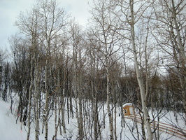 Ski 2008 Park City 148
