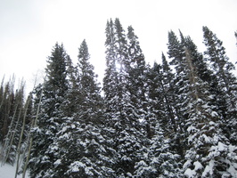 Ski 2008 Park City 185