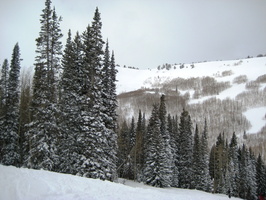 Ski 2008 Park City 192