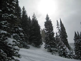 Ski 2008 Park City 200