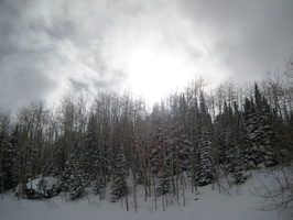 Ski 2008 Park City 208