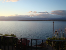 DSC01217