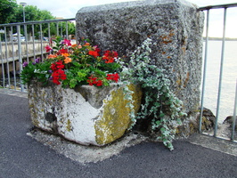 DSC01241