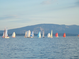 DSC01248